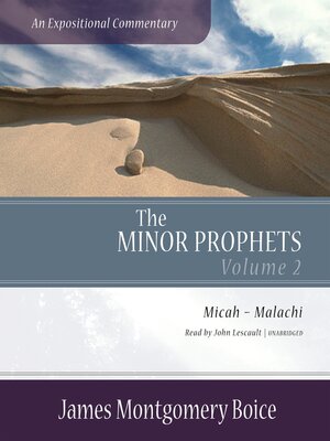 cover image of The Minor Prophets